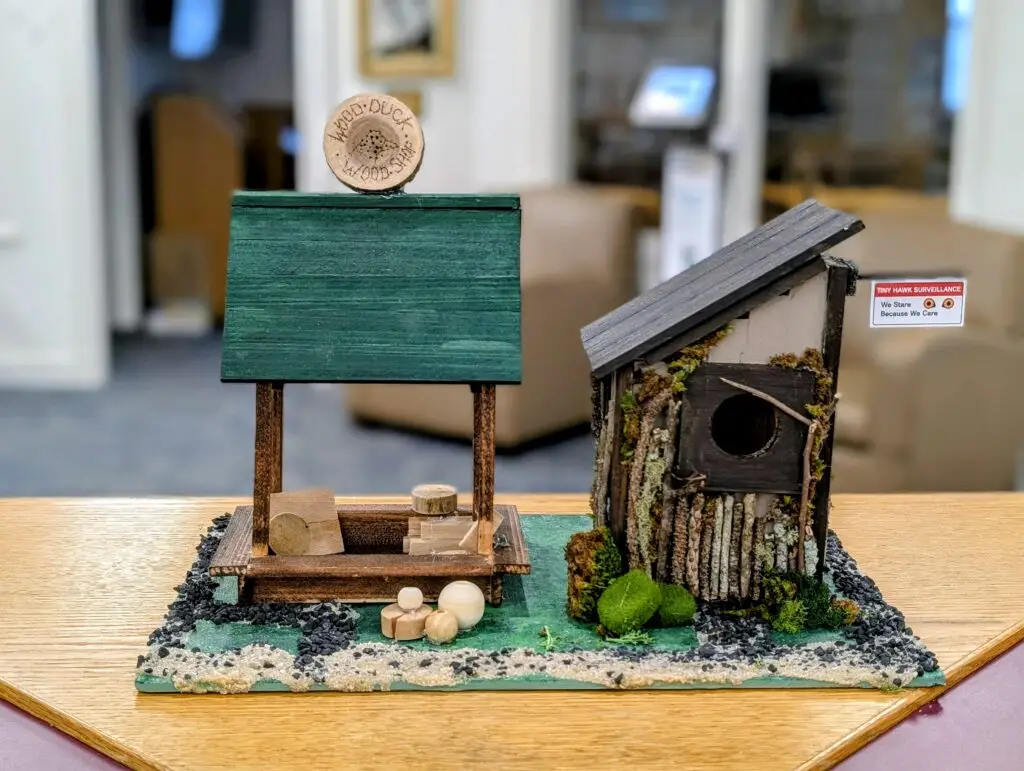 The Wood Duck Wood Shop, an open sided green shop with a sign cut from a log round and small logs stacked inside, beside Tiny Hawk Surveillance, a bark and moss covered birdhouse with a sign reading We Stare Because We Care.